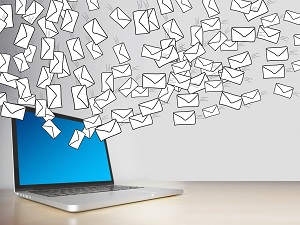 The Email Trap: Why “Admin@” Could Be Your Weakest Link