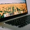 Cyber-Insurance Triggers Higher Ransom Demands